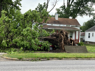 Storms damage area property