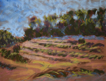 Strawn’s April show a special exhibit