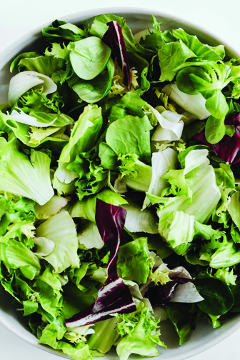 Spring Garden Salad