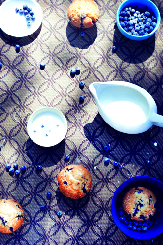 Blueberry Oatmeal Muffins