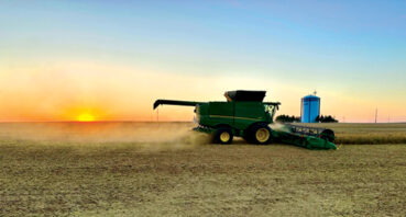 Harvest Sunset