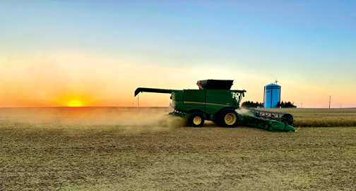 Harvest Sunset