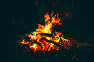 The hidden dangers of sharing firewood: Protecting our trees