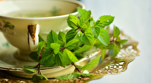 From garden to kitchen: The versatility of peppermint