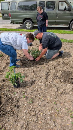 Carmean Court residents plant vegetable garden