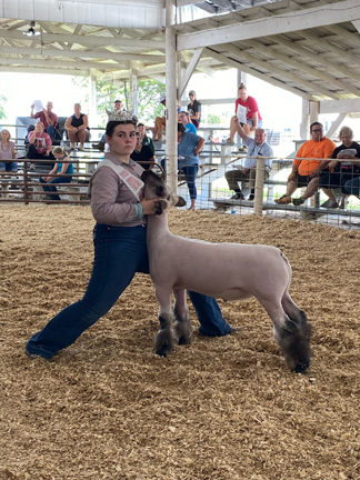 Scott fair offers best of county agriculture