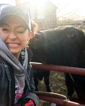 The Witty Farmer : Different cattle operations explained