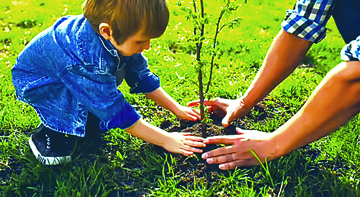 U of I Extension : Autumn is for tree planting