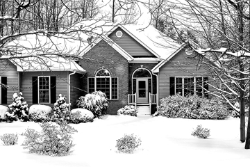 U of I Extension : Deicing salt and plants: Preventing salt damage in your landscape