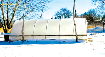 U of I Extension : Winter is a time for gardeners to take a break. Or is it?