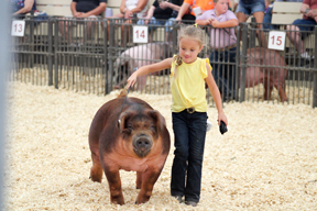 A young girl and her pig