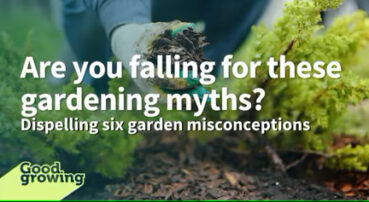 Are you falling for these gardening myths?