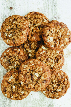 Oatmeal Chocolate Chip Cookies Oatmeal Chocolate Chip Cookies
