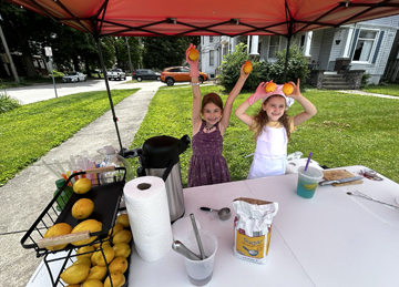 Little Lemon Shakers