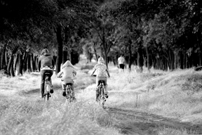 Back to school, back outside: family fun for late summer and fall